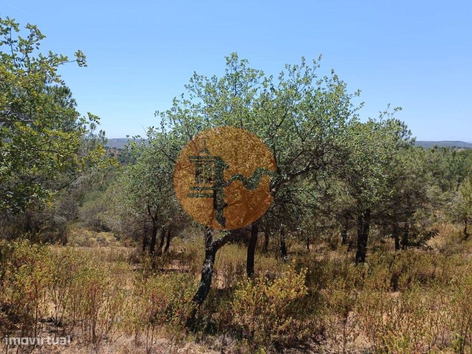 Terreno Rústico Com 5.160 M2 - Próximo A Foz De Odeleite - Odeleite...