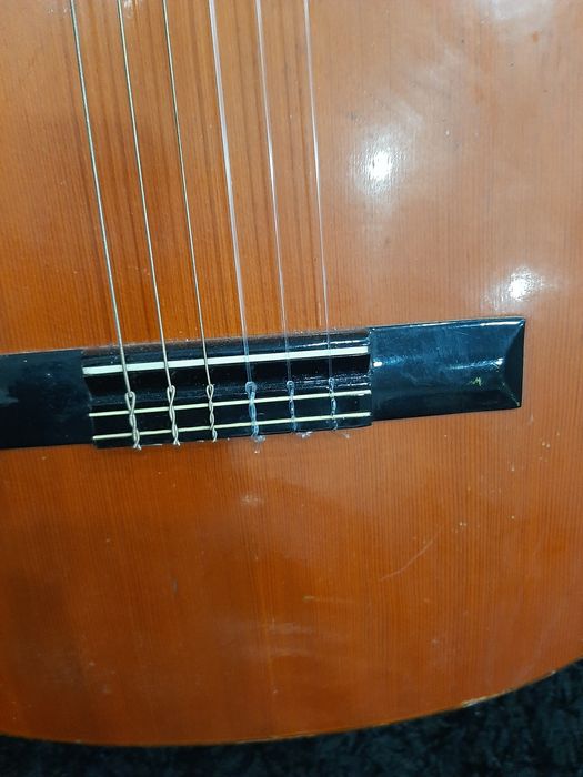 Viola Admira Sónia Espanhola