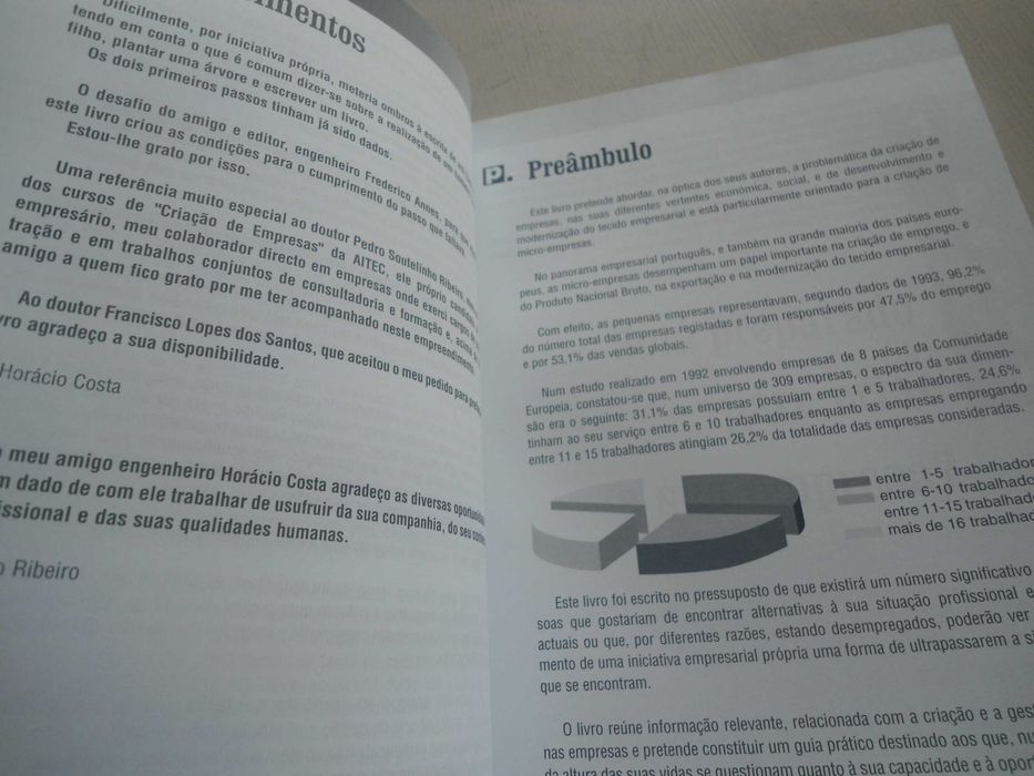 Criação de Micro-Empresas & Pequenos negócios de Horácio Costa e outro
