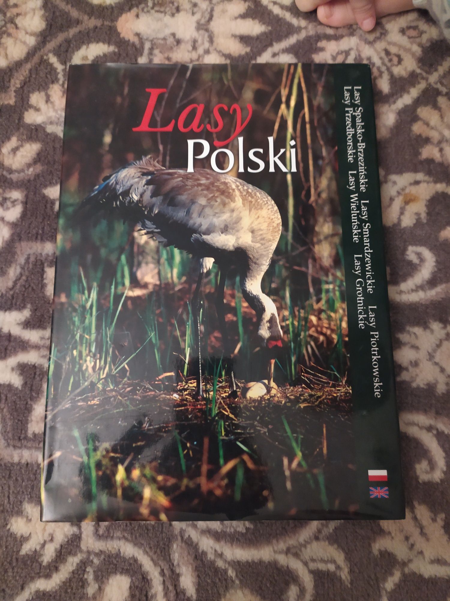 Lasy Polski 2006 książka