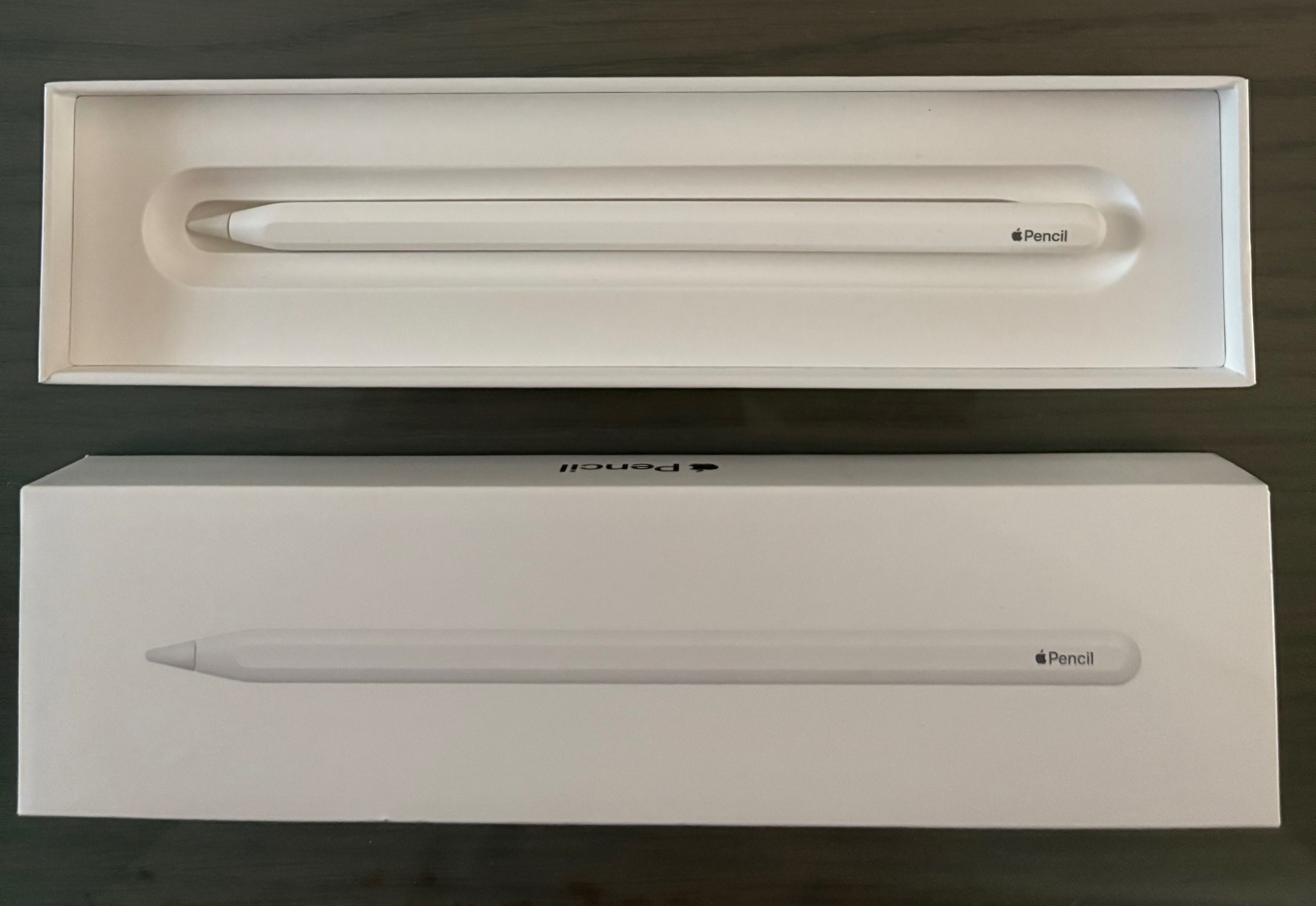 Apple Pencil 2ª Geração