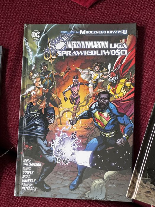 Miedzywymiarowa liga sprawiedliwosci