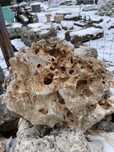 MOONSTONE Kamień Księżycowy Scenery Elephant Skin Filipiński Wapień