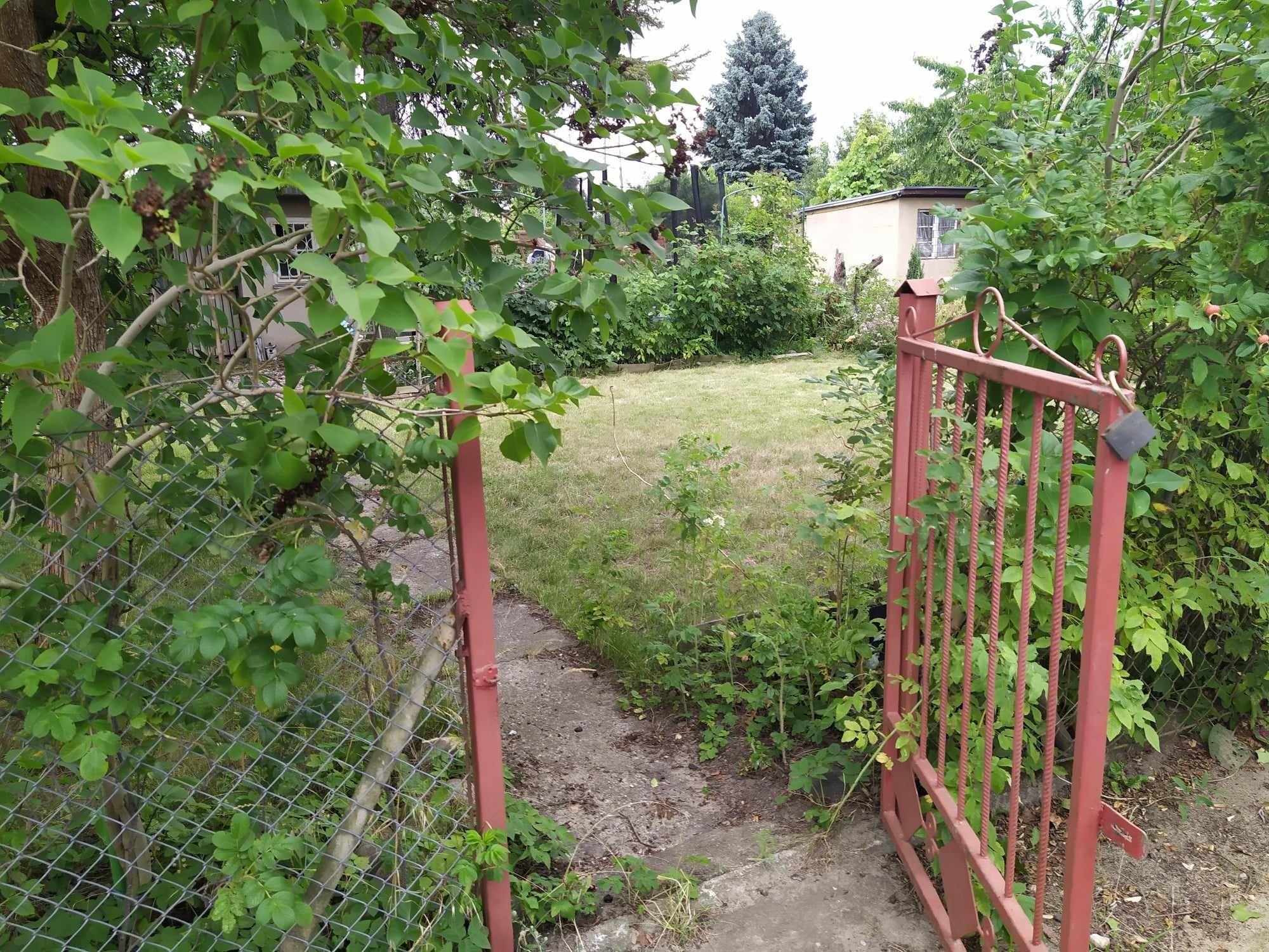 Działka ROD Gdańsk Zaspa