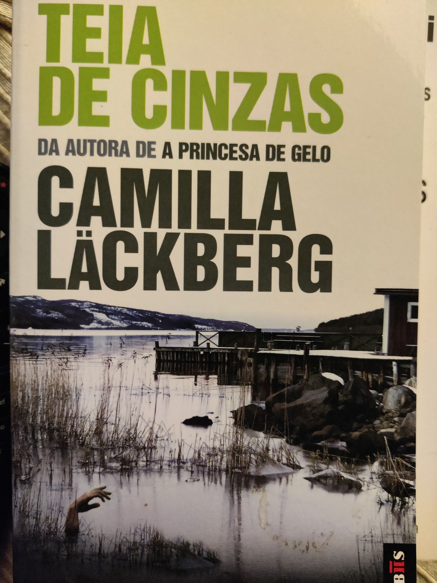 Teia de cinzas de Camilla Läckberg livro de bolso