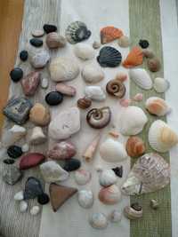 Ракушки камені натуральні для творчості акваріума