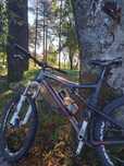 Bike Santa Cruz Blur XC Carbono M