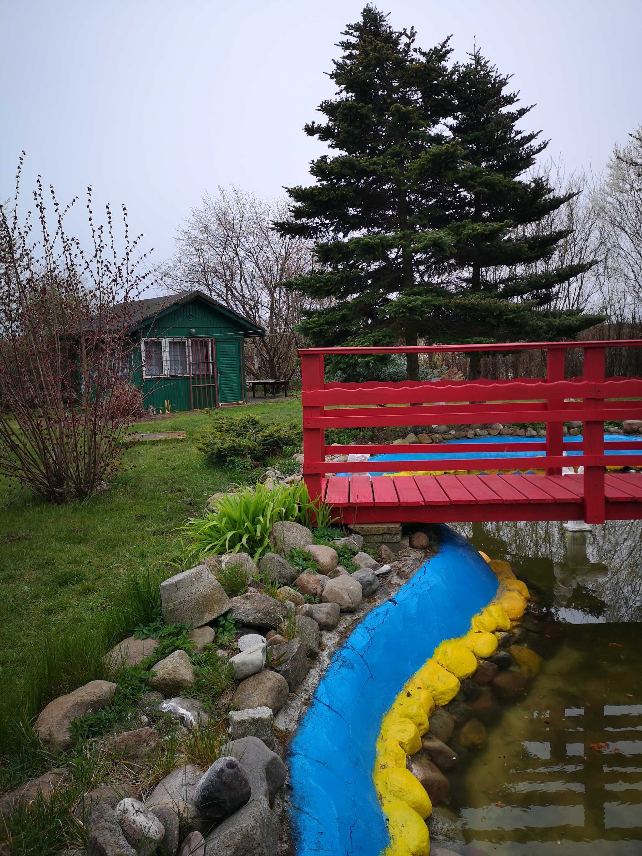 Pole namiotowe - Gdynia Babie Doły "u Halinki"