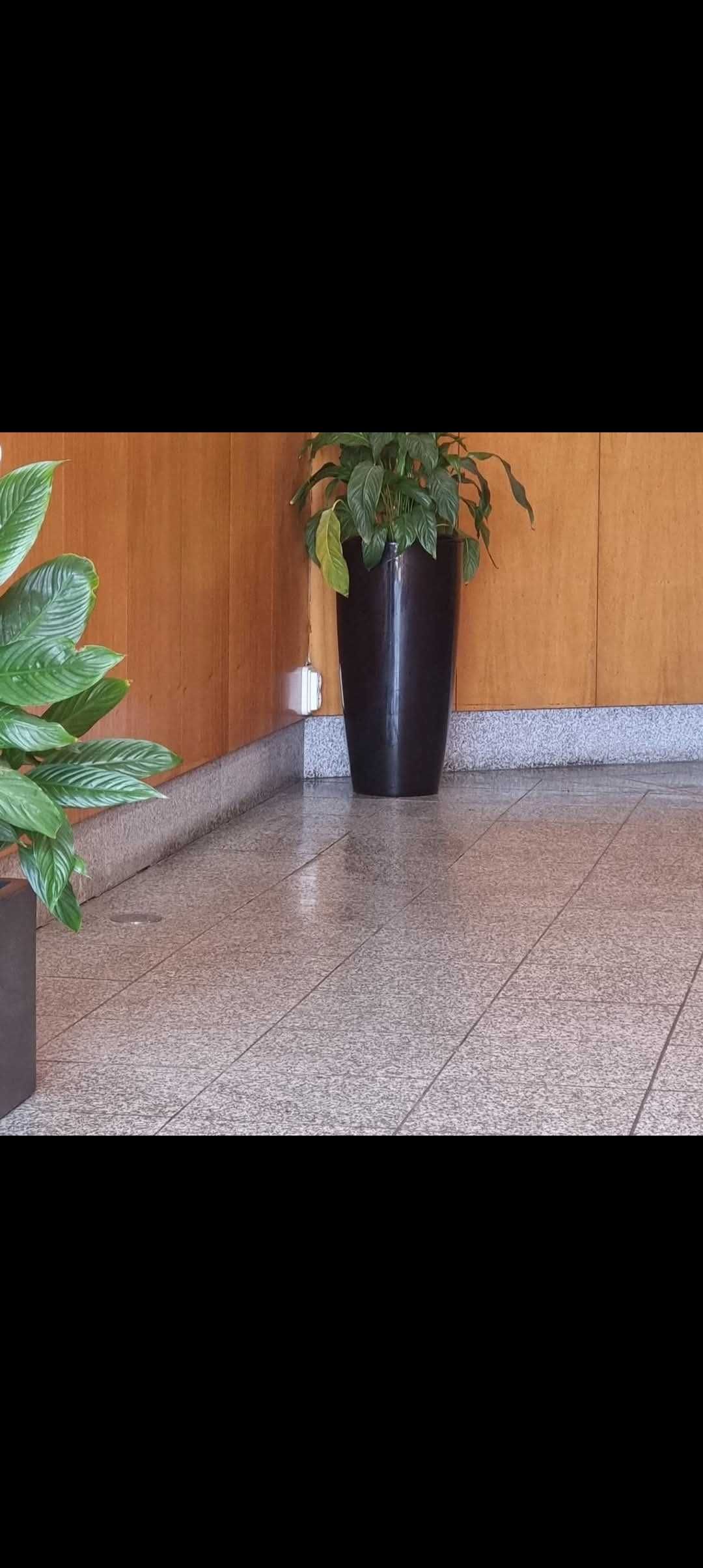 Dedicada e com brio no meu trabalho