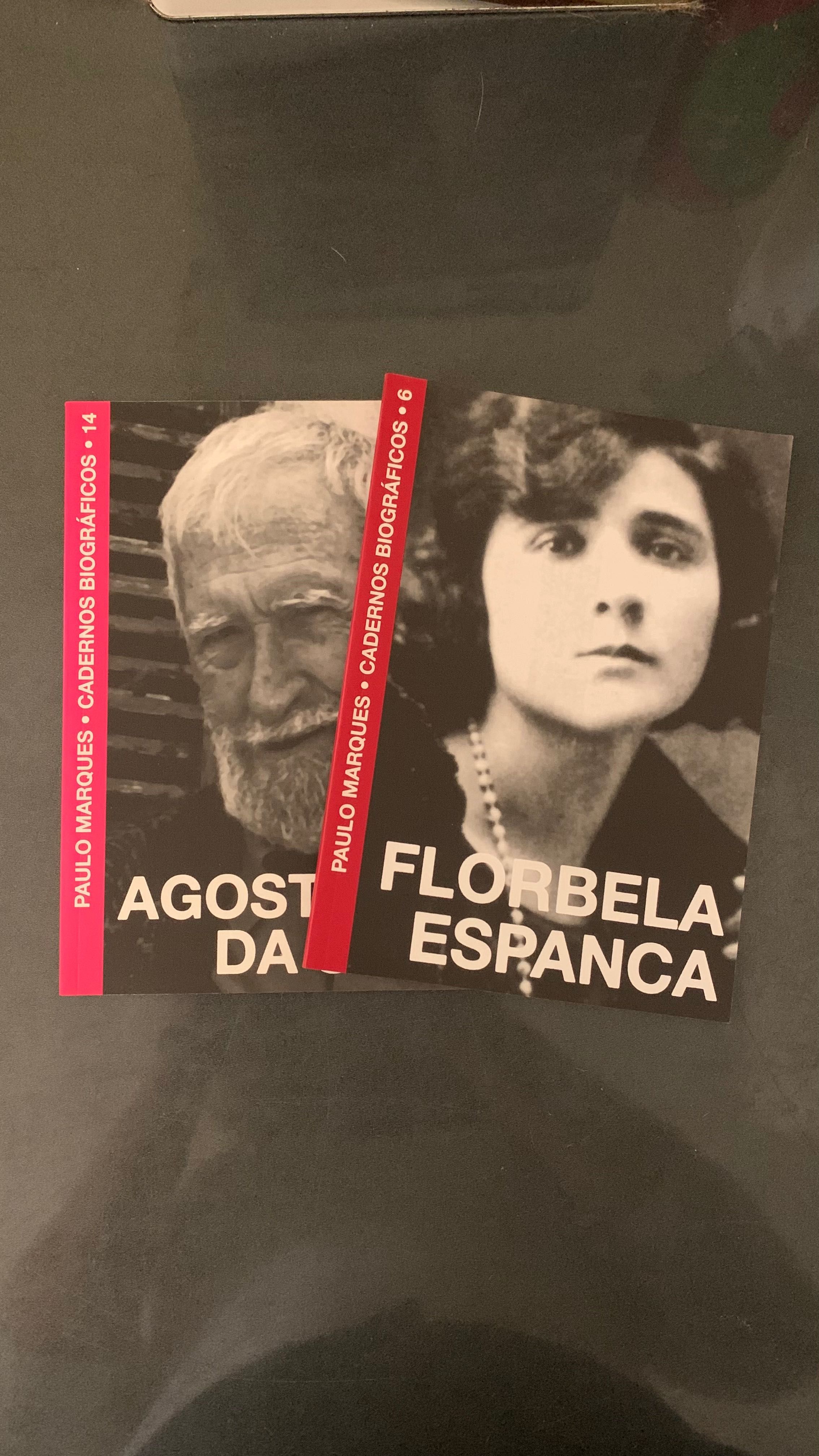 Livros cadernos bibliográficos Florbela Espanca e Agostinho da Silva