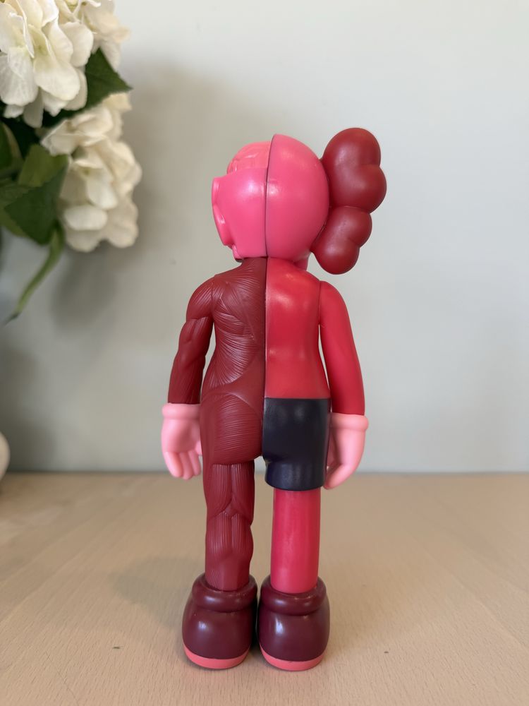 Kaws Anatomy Red