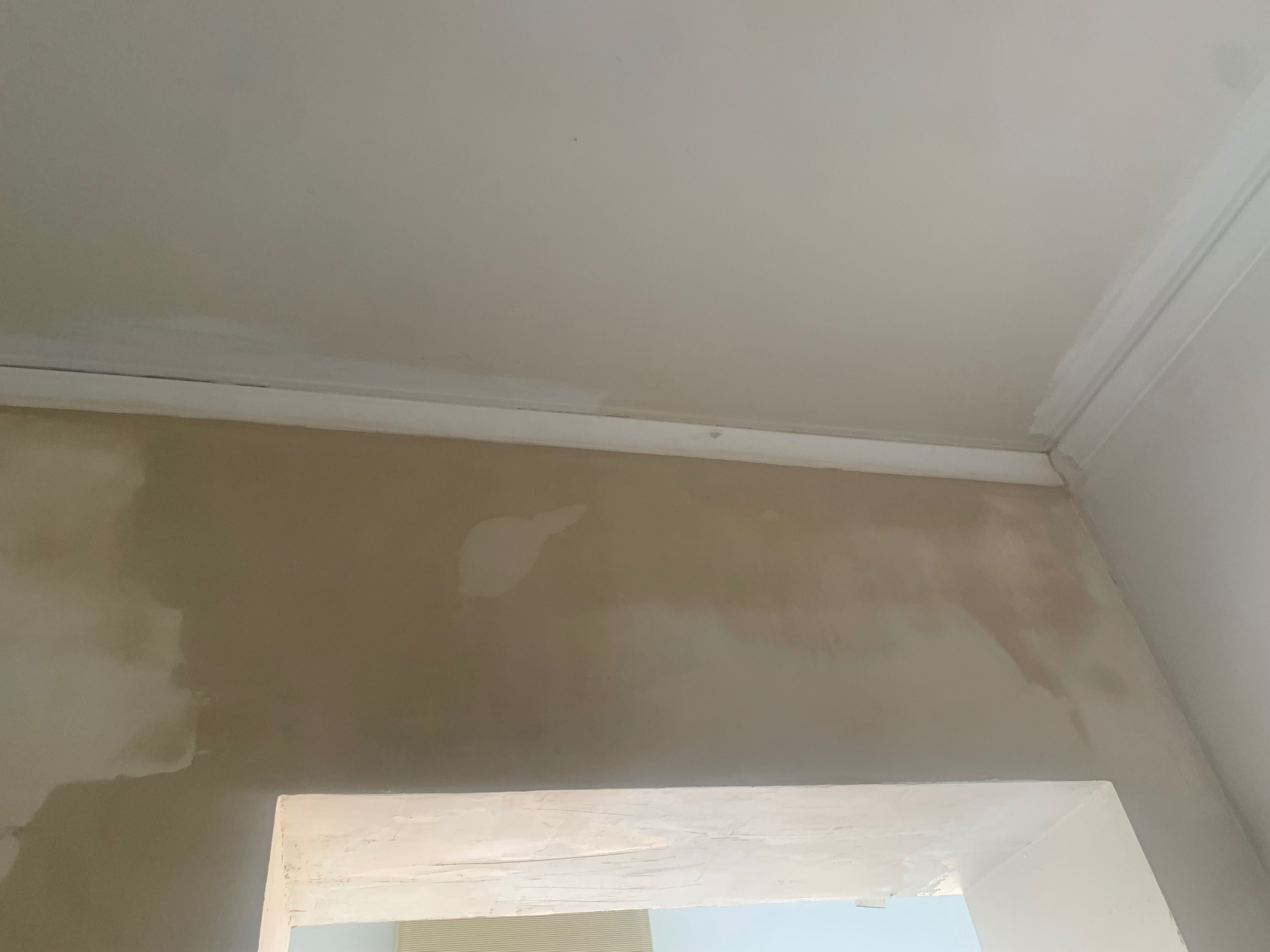 Faço Pinturas e Reparações