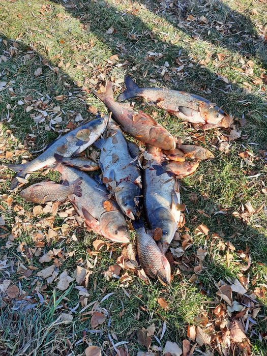 Продам будинок на березі річки в селі  Заньки