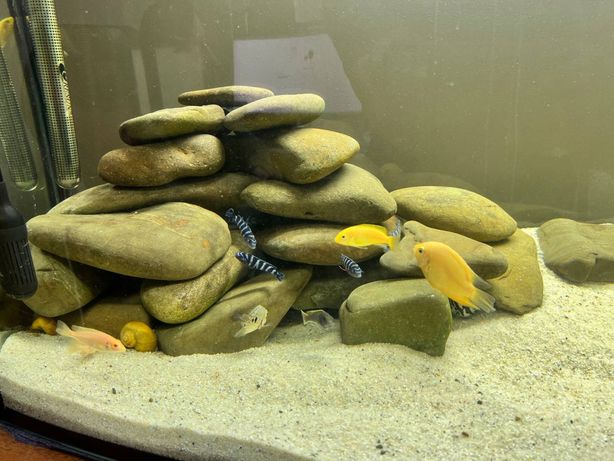 Каміння камни декорація акваріум тераріум