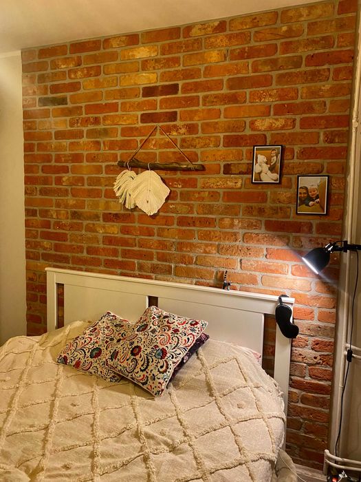 Płytki z cegły stara cięta cegła rozbiórkowa DOSTĘPNE od RĘKI w Gdańsk