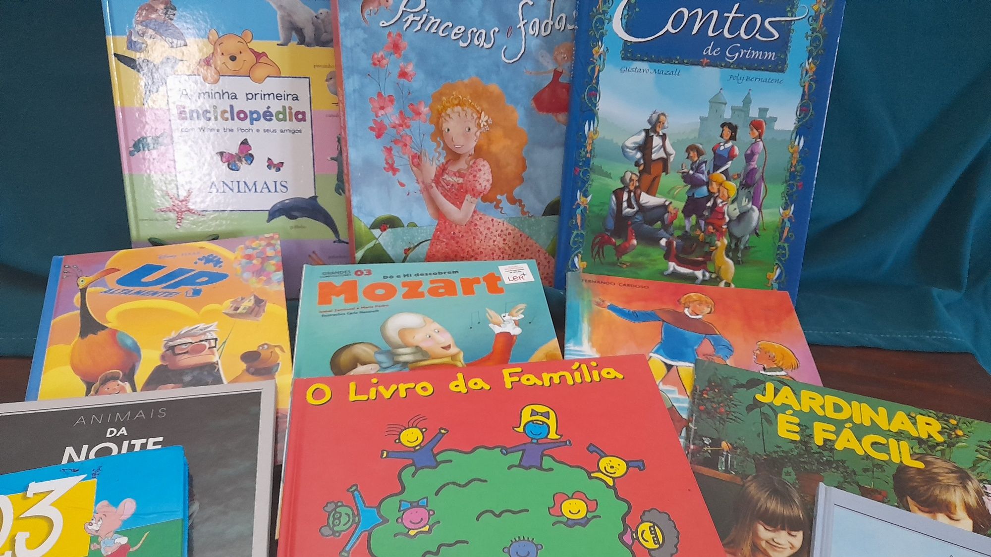 Lote 16 Livros infantis