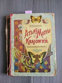 3757. "Atlas motyli krajowych"B.Dyakowski. Kolecjonerska z 1906 roku