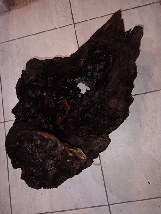 Korzeń do akwarium XXL 20kg !!!