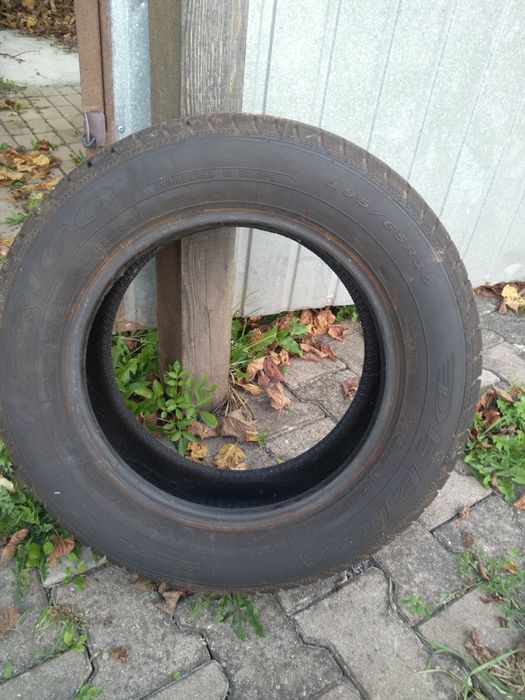 Opony zimowe Dębica 195/65/15r