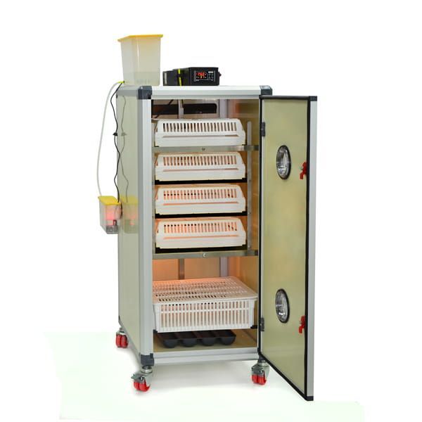 Inkubator Lęgowy jaj z Klujnikiem - HB175 C