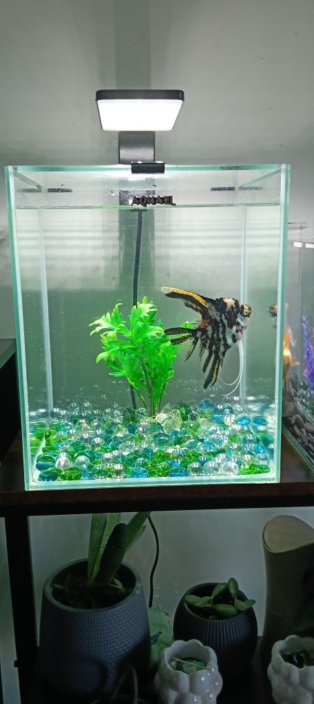 Sprzedam akwarium Aquael 20 l