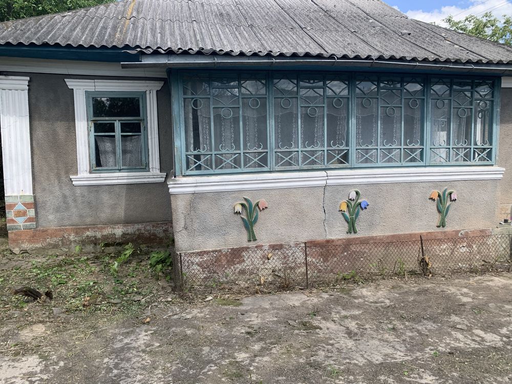 Приватний будинок ,літня кухня ,комора шопа для живності