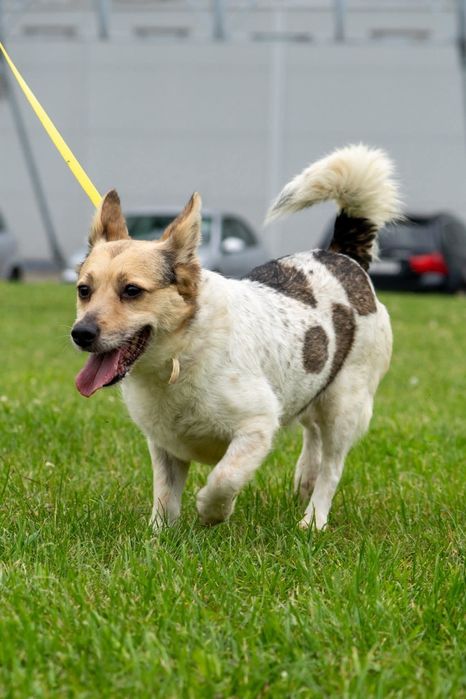 Urocza Tosia czeka na Ciebie