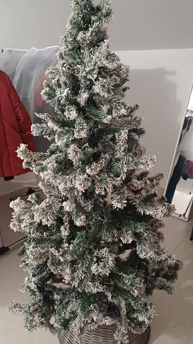 Árvore de Natal  nova