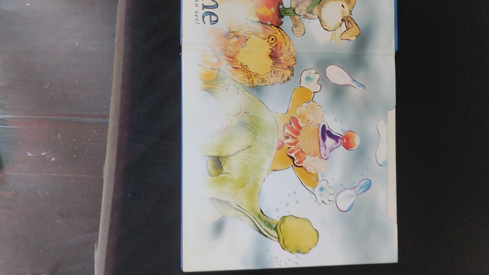 Livro de crianças com desenhos para pôr fotos da criança 15 euros