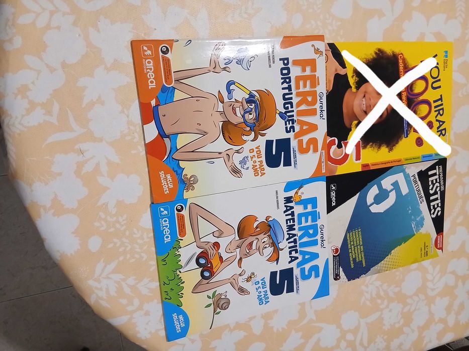 Cadernos de fichas de apoio 5.ano