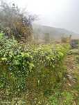Moradia T0 para venda