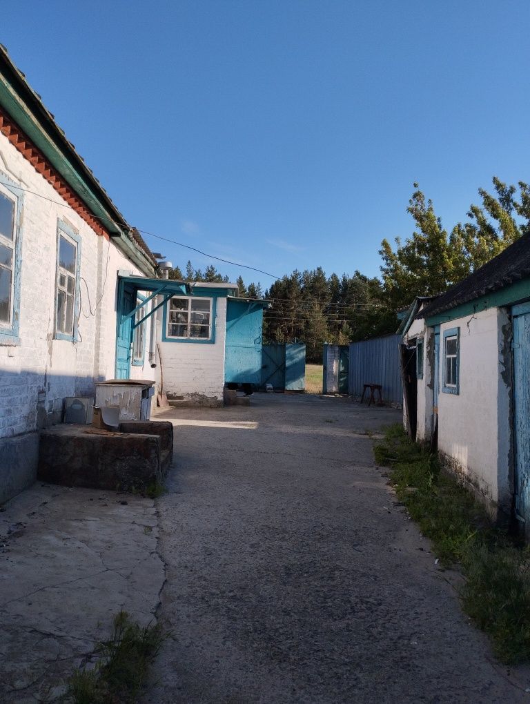 Продам дом Змиев Задонецкое