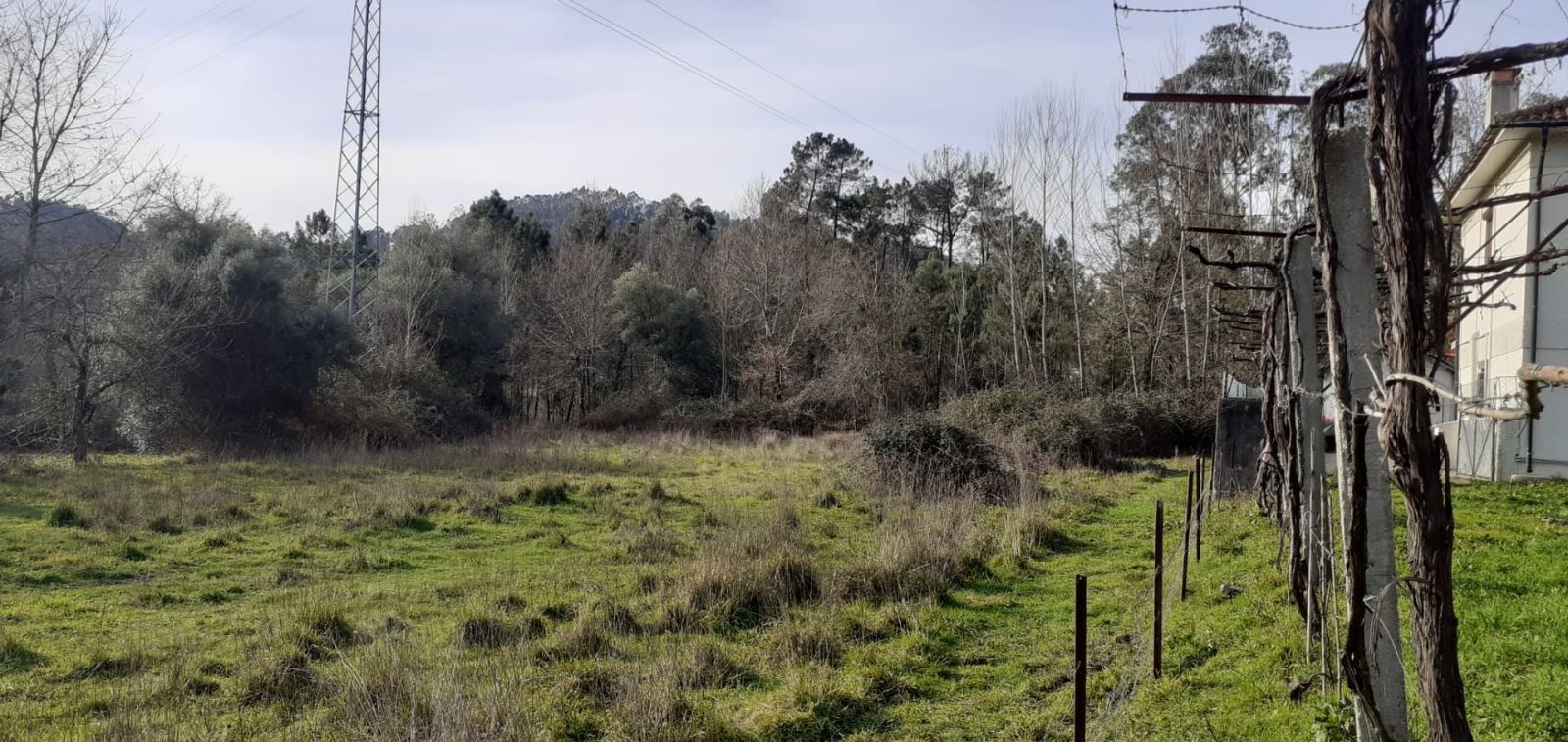 Terreno com área urbanizável