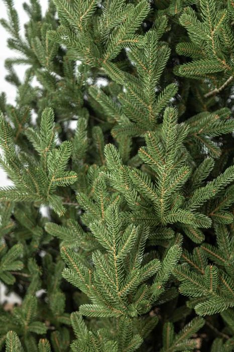 Ялинка штучна Віденська лита елка