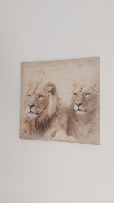 Três quadros animais