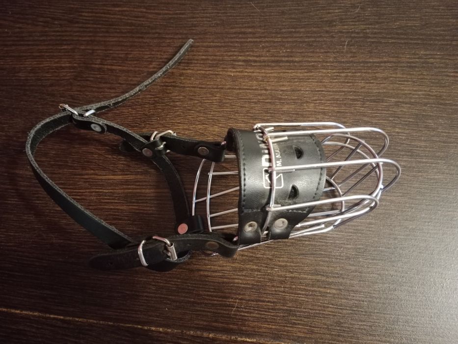 Kaganiec fizjologiczny Dino < 10kg