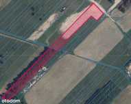 Działka 6000 m² – Żabokliki