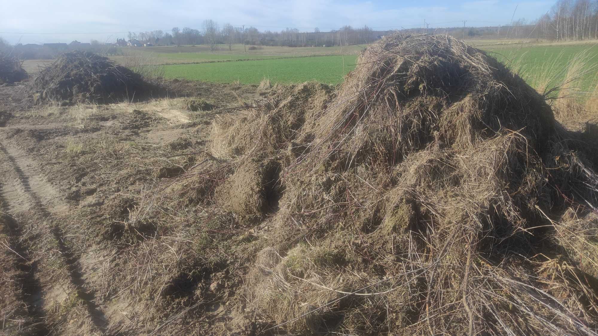 Oddam ziemie humus ziemia