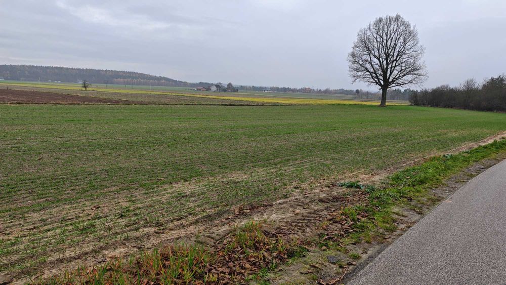 Działki budowlane na sprzedaż