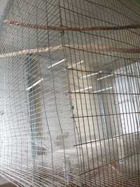 Voadeiras gaiolas, em rede galvanizada para todo o tipo de aves 76x76x