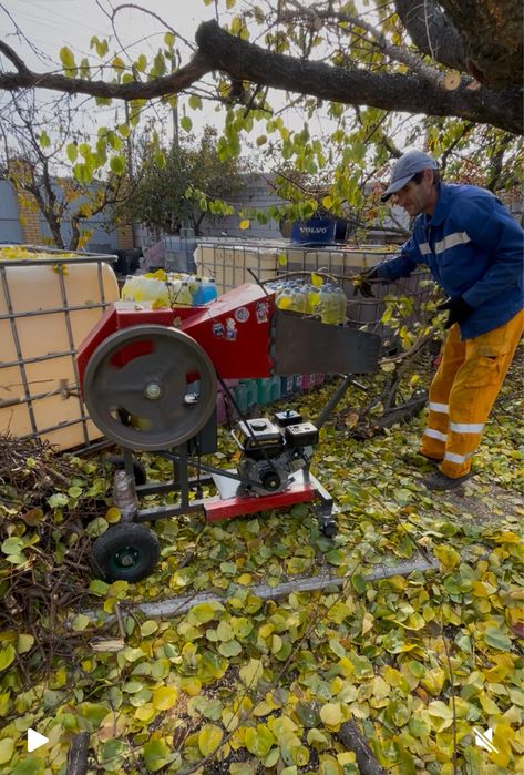 Услуга Измельчитель веток Дробилка для веток Утилизация веток
