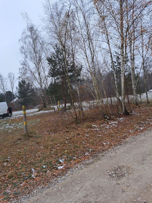 Wycinka drzew rębak podnosnik koszowy skracanie drzew wycinka a