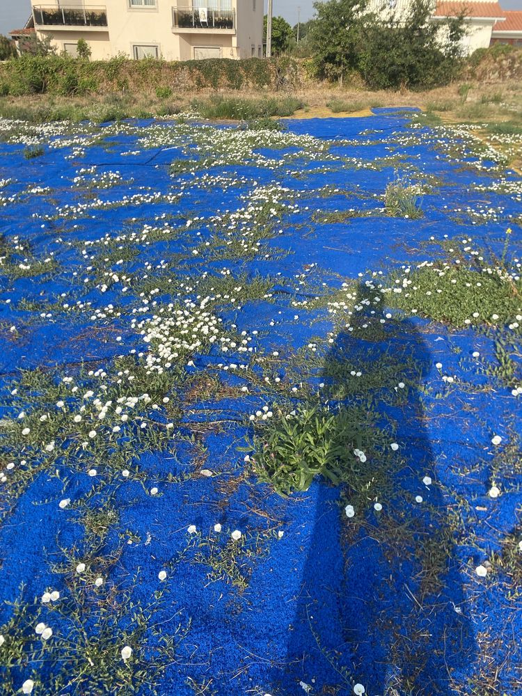 Sintetico azul 16m x 12m  OFERTA