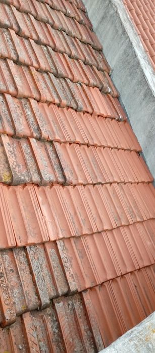 Impermeabilização de telhados e limpeza de algerozes