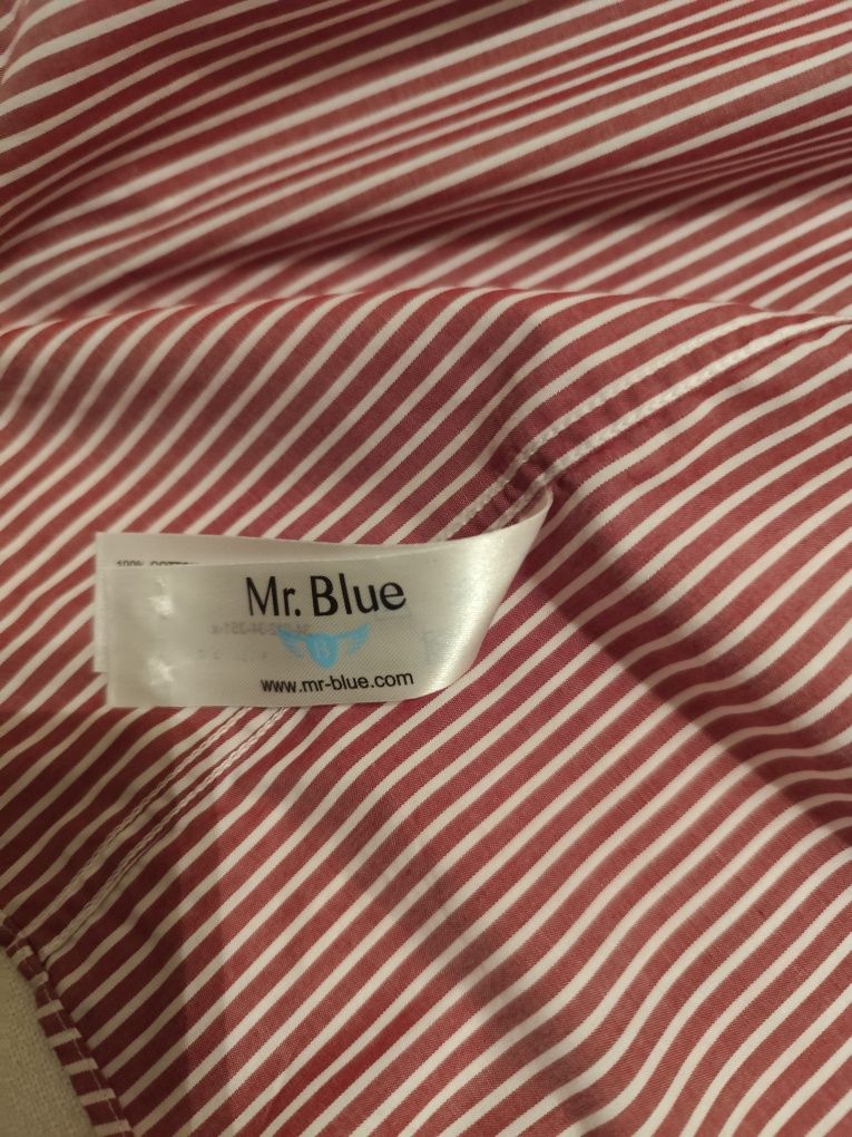 Camisa de homem MR BLUE NOVA