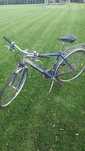 Rower trekkingowy meski (k. Pabianic)