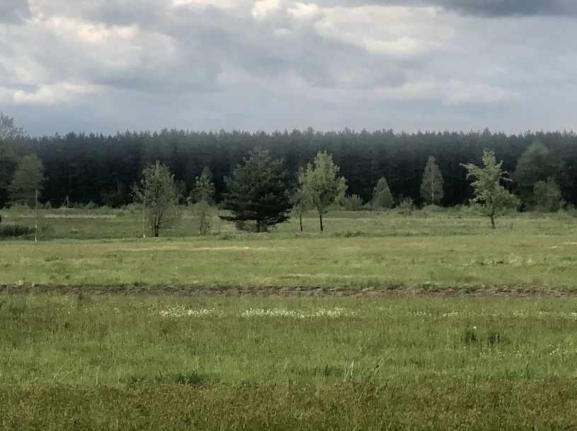 Земельна ділянка