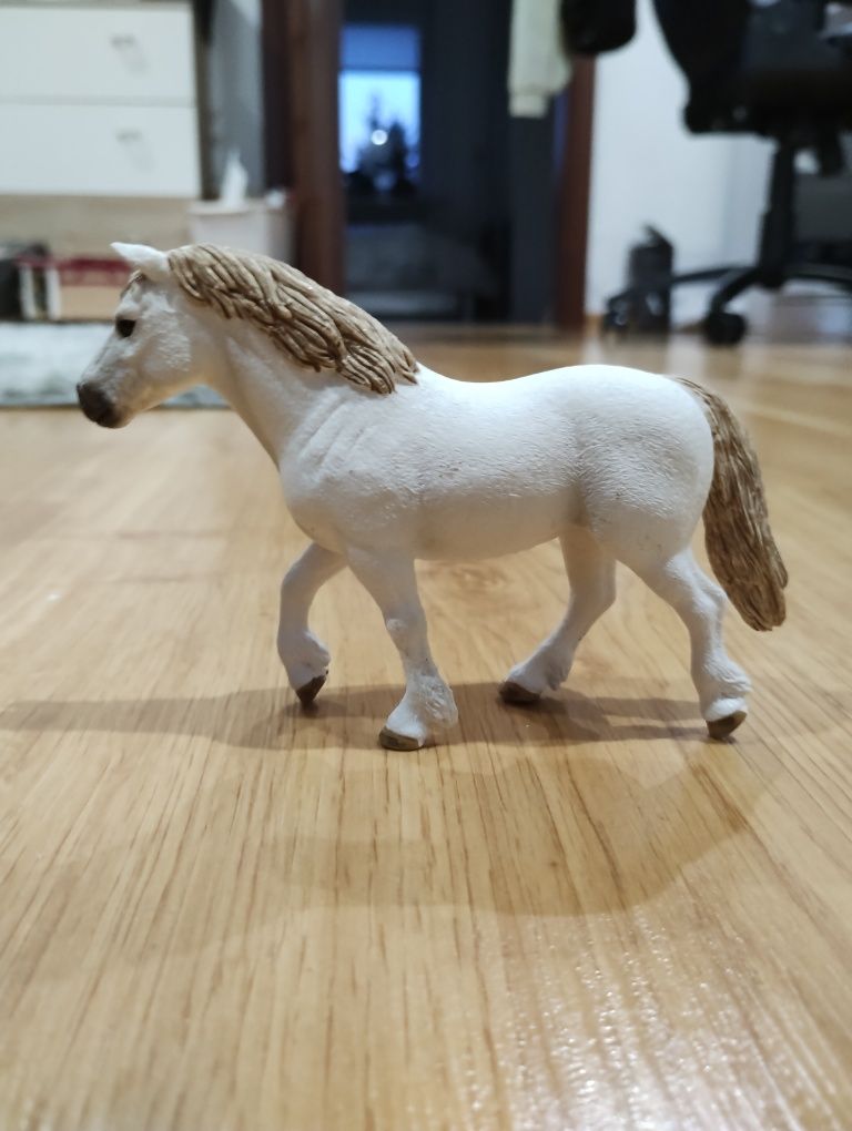 Klacz Kuc schleich