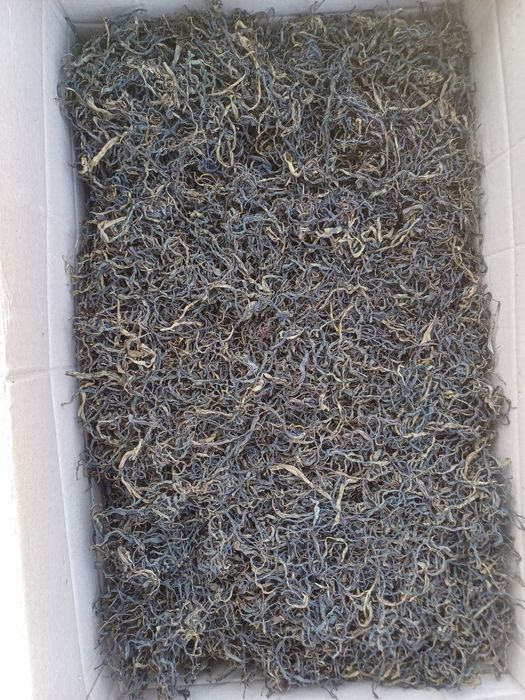 Іван-чай, кипрій,гірський