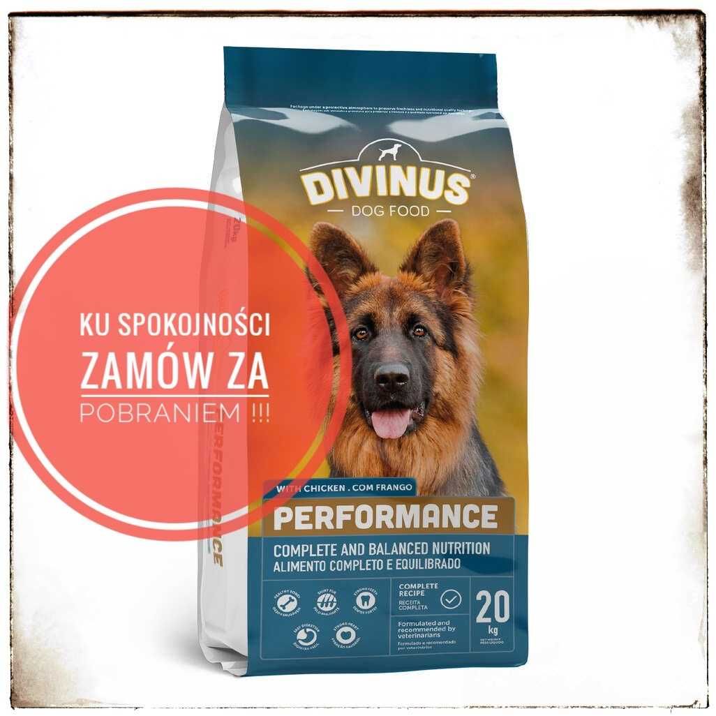 Divinus Performance dla owczarka 20kg-Darmowa dost-Pobranie GLS